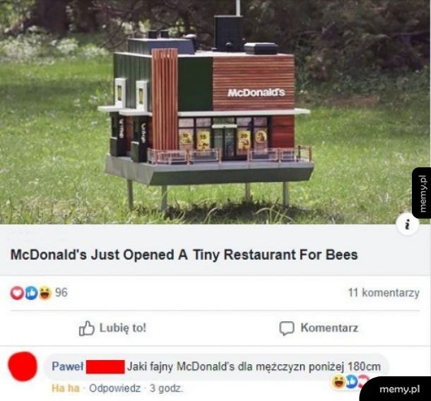 Fajny McDonald!