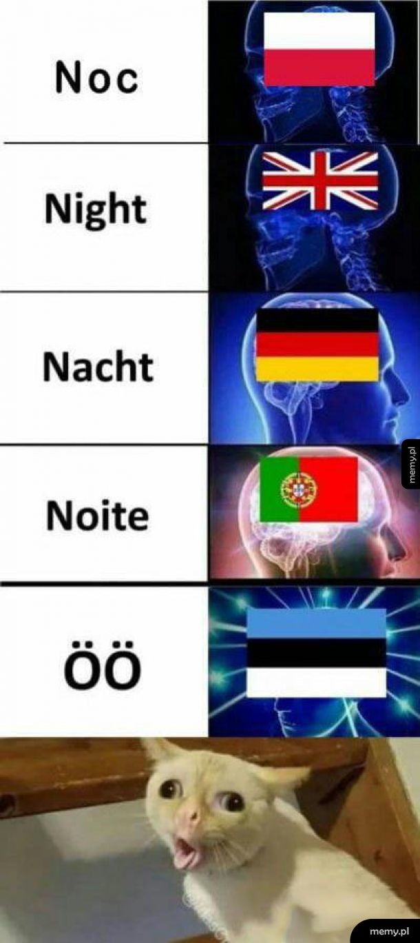 Języki