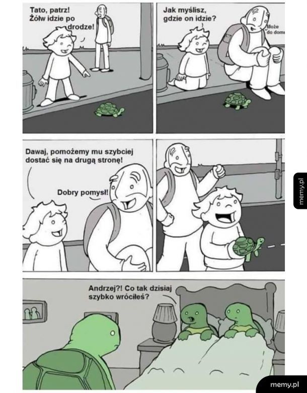 Przygody żółwia Andrzeja