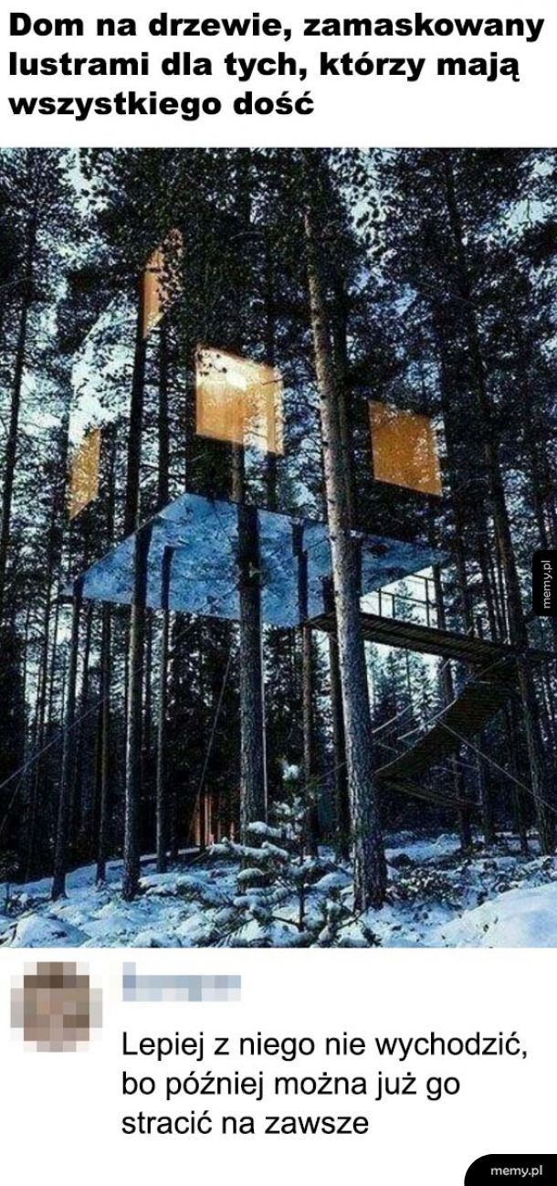 Dom w lesie