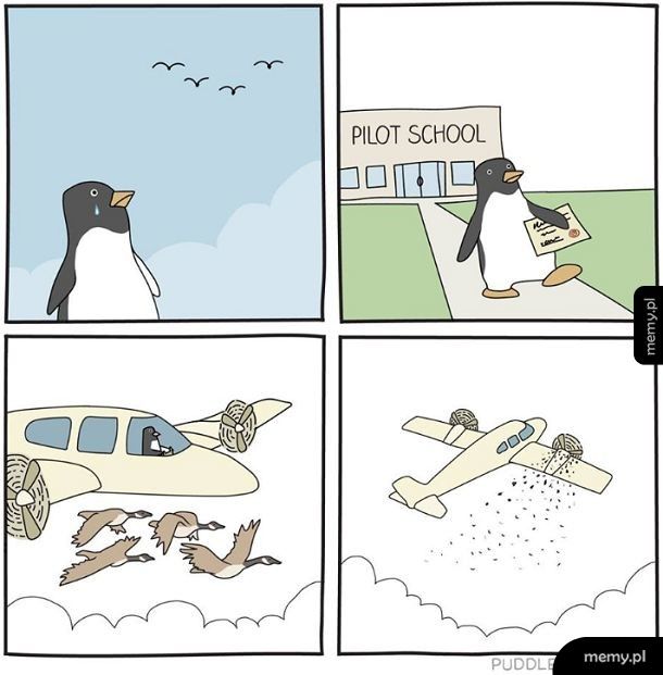 Szkoła latania