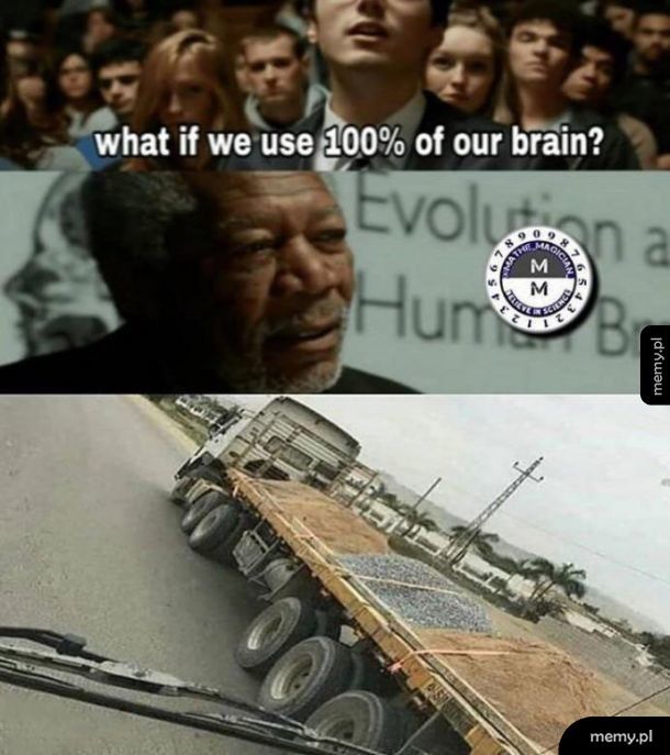 Mózg 100%