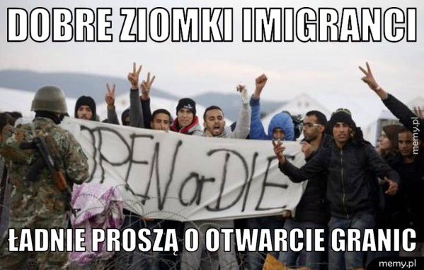 Dobre ziomki imigranci Ładnie proszą o otwarcie granic