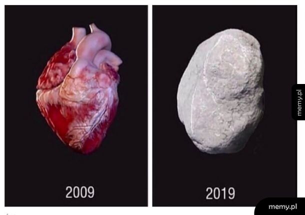 Ewolucja serca