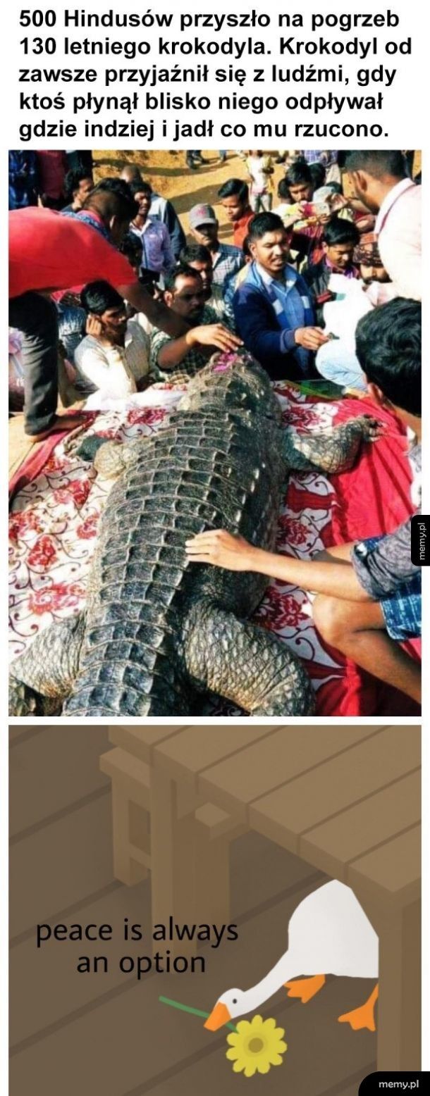 Pogrzeb krokodyla