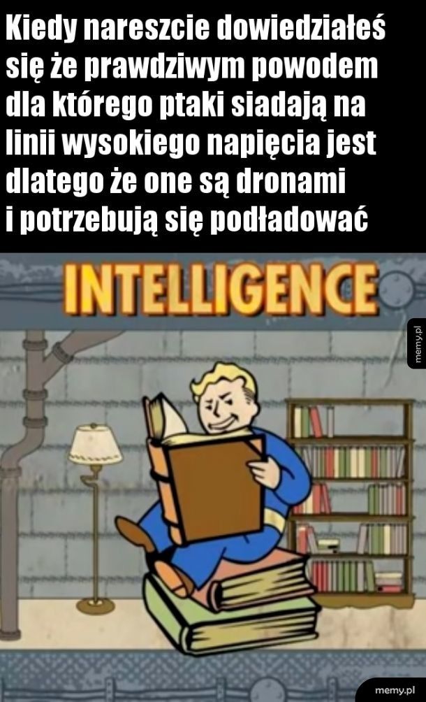 Intellec