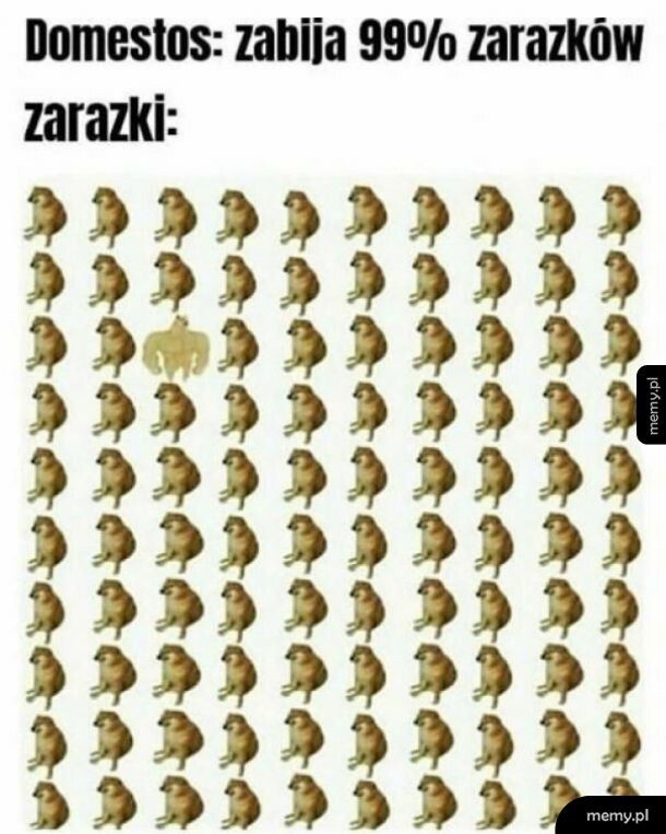 Zarazki