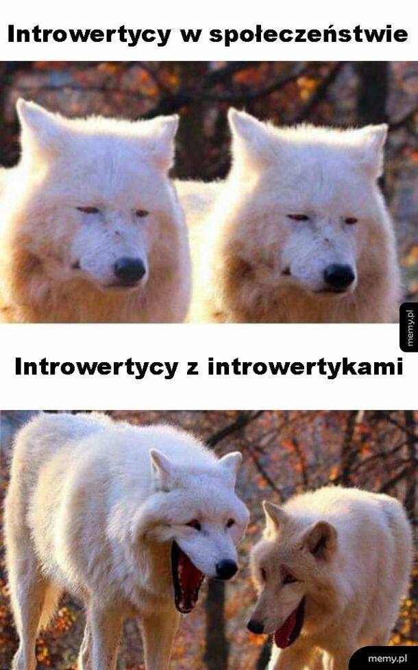Introwertycy