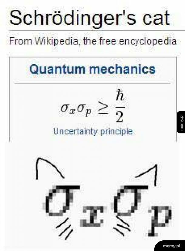 Teraz już wiecie, dlaczego kwantowy kot...