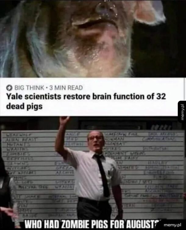 Zombie pigs