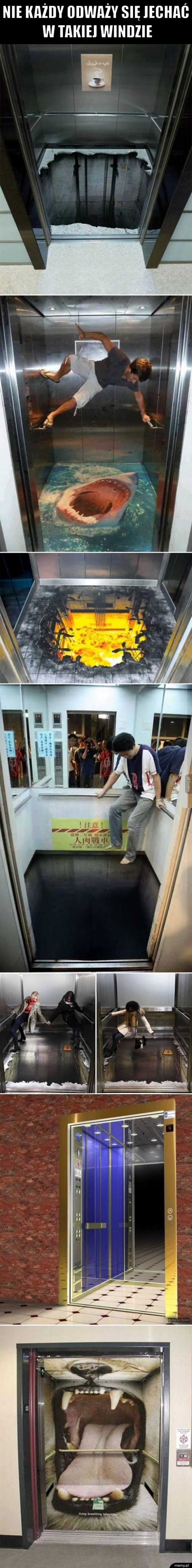   Nie każdy odważy się jechać   w takiej windzie 