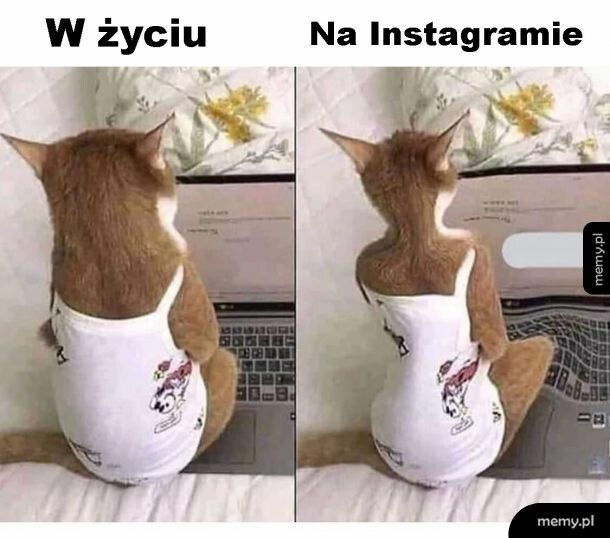 Życie vs Instagram