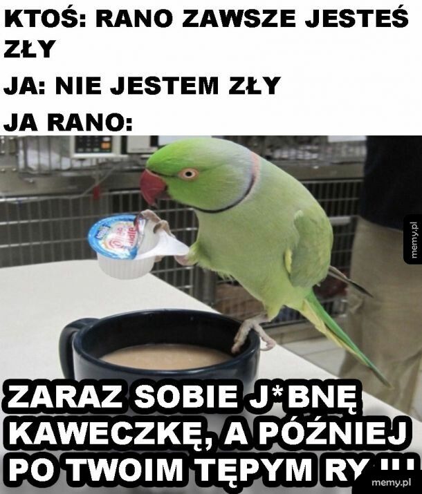 Nerwowość z rana