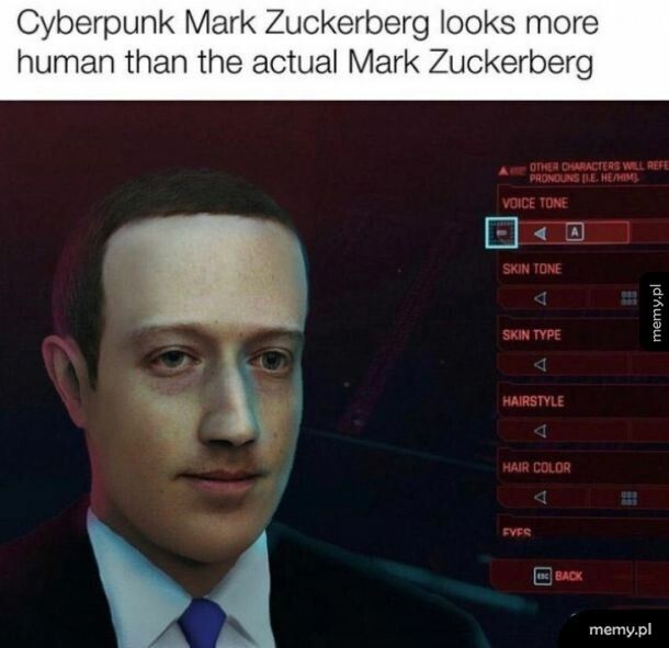 Mark Zuckerpunk