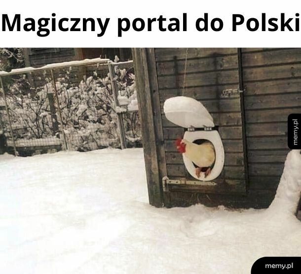 Portal do Polski