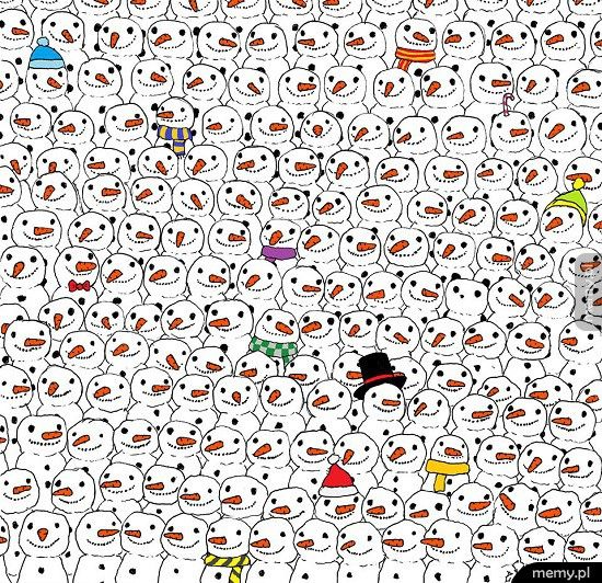 Gdzie jest panda?