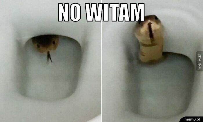 no witam 