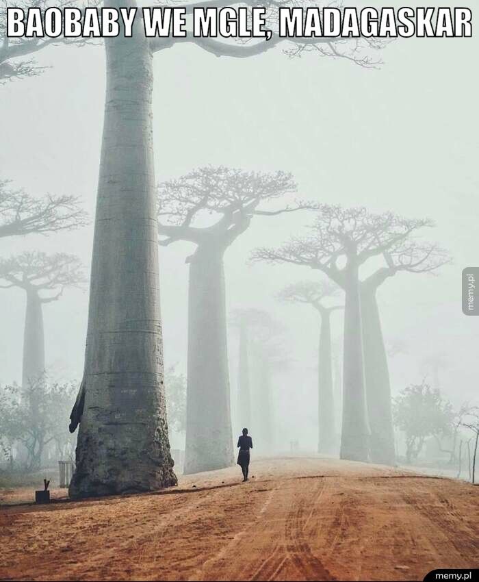 Na Madagaskarze