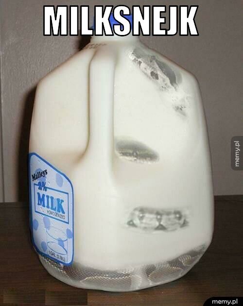 Milksnejk
