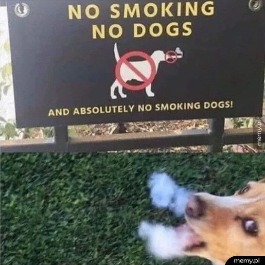 No smoking , no dogs