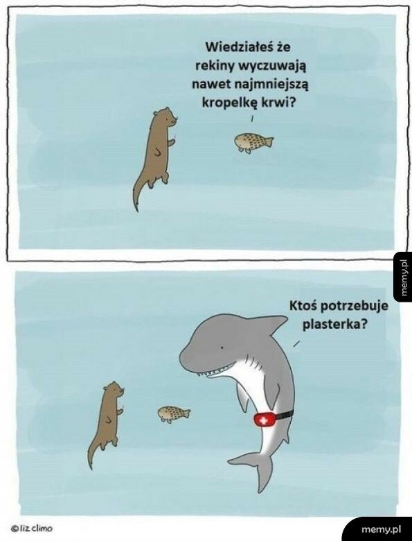 Rekiny i krew
