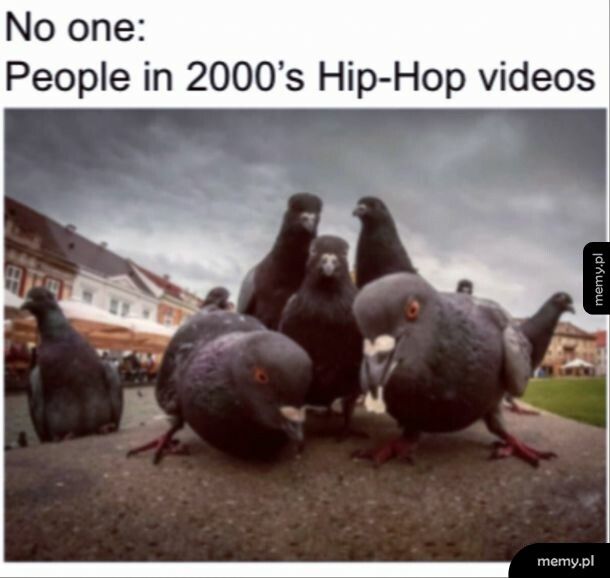 Hip hopowe teledyski takie były xd