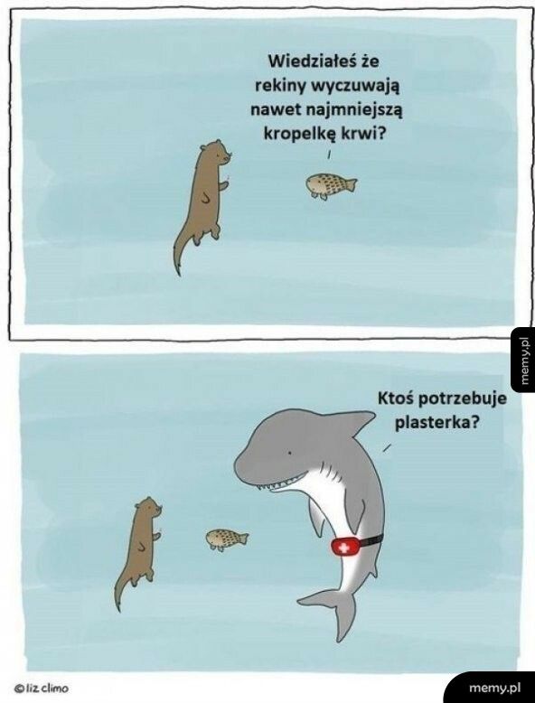 Dlaczego rekiny wyczuwają krew