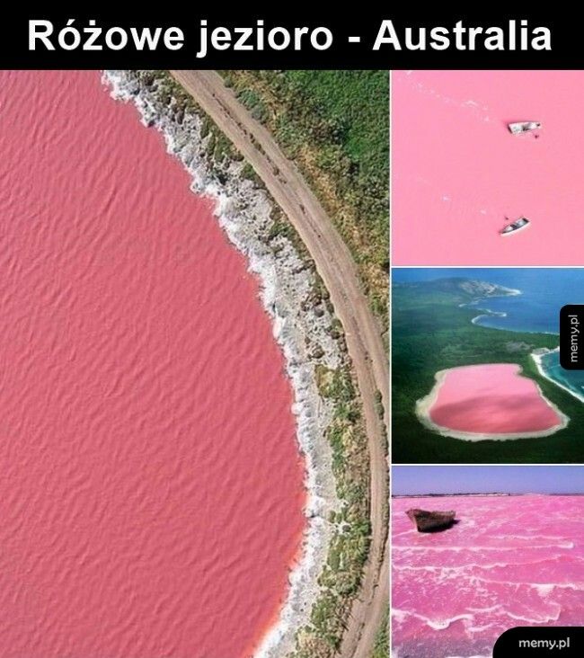 Różowe jezioro