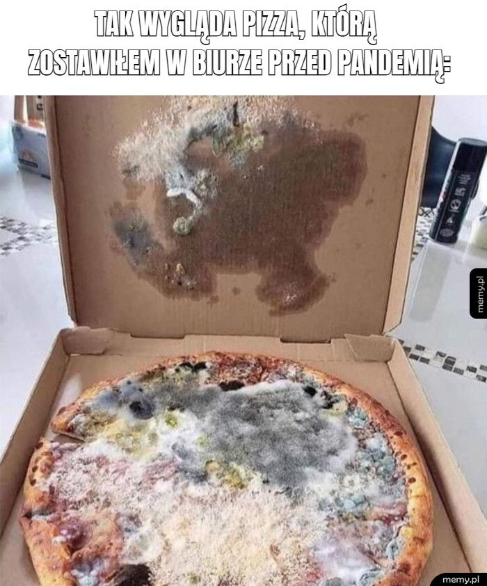          tak wygląda pizza, którą      