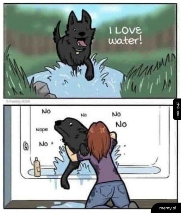 Psy i woda
