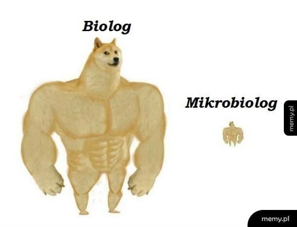 Mikrobiolog