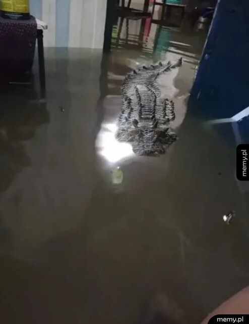 Filipiny w czasie powodzi: