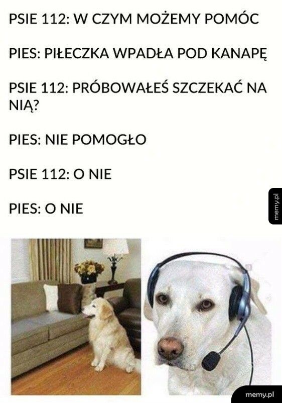 Psie 112
