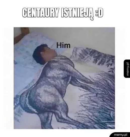 Centaury