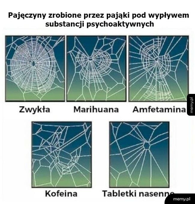 Test na toksyczność substancji