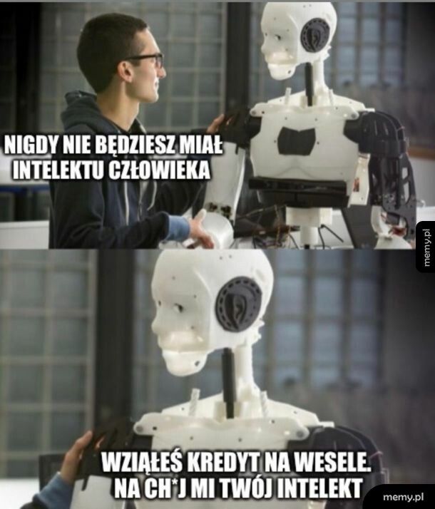 Inteligencja