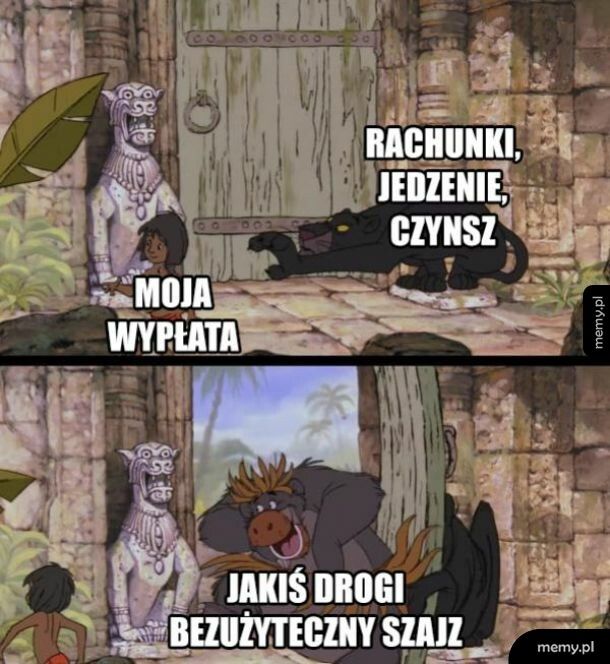 Moja wypłata