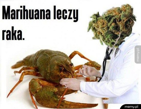 Marihuana leczy raka