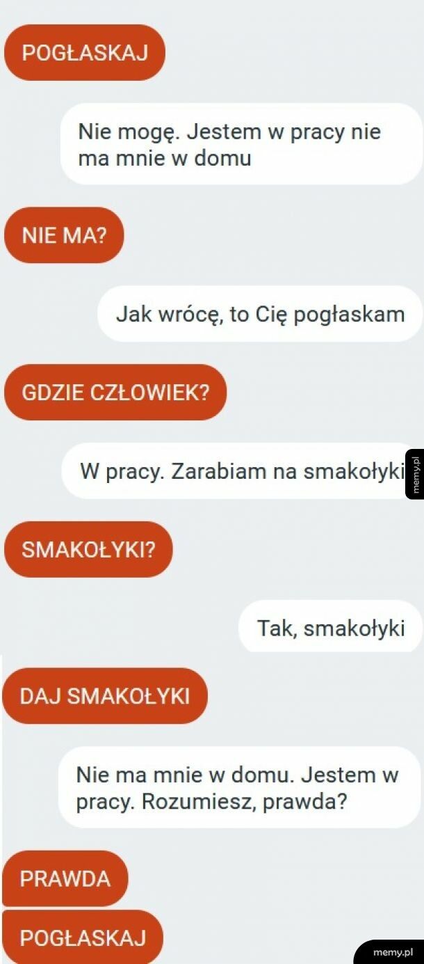 Gdyby mój piesek potrafił sms-ować