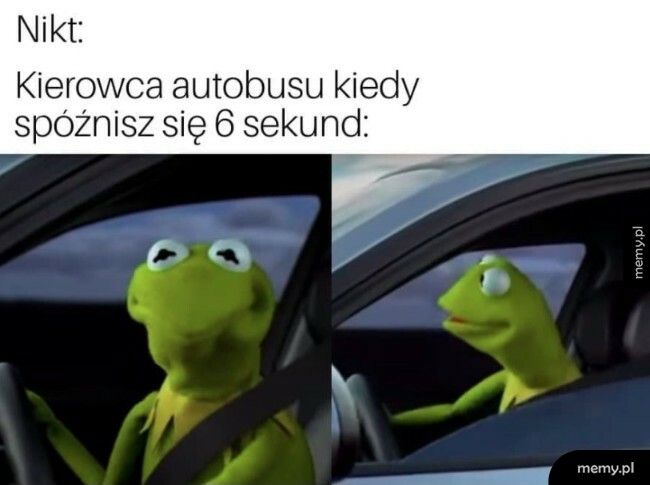 Kierowca autobusu