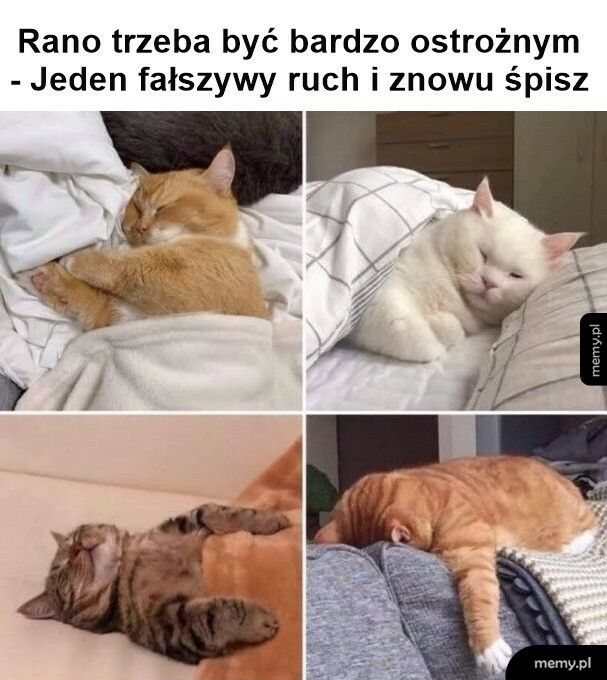 Jeden fałszywy ruch