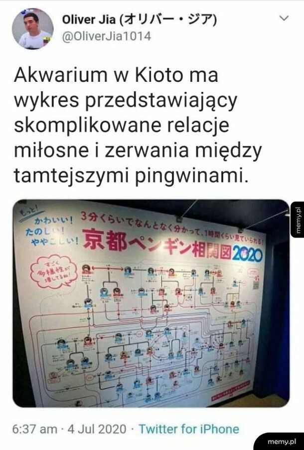 Zmieniają jak rekawiczki