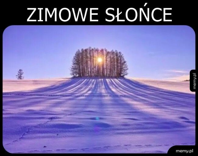 Zimowe słońce