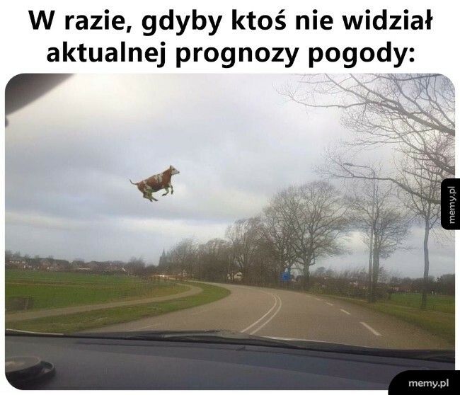 Przewidywane silne porywy wiatru