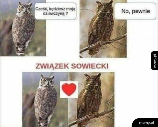 Związek