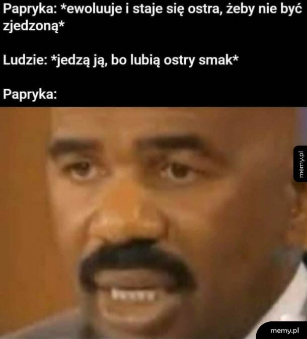 Papryka