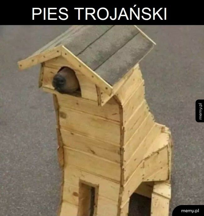 Pies trojański