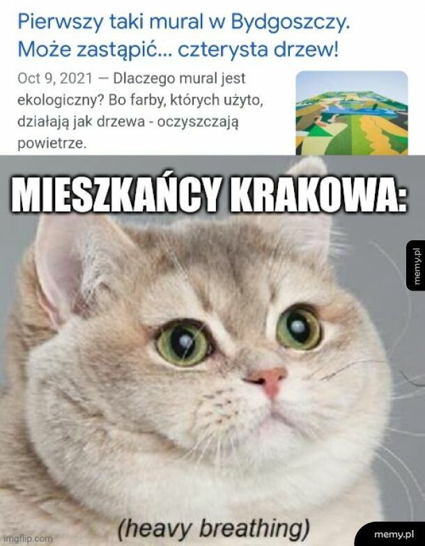 Krakowiacy