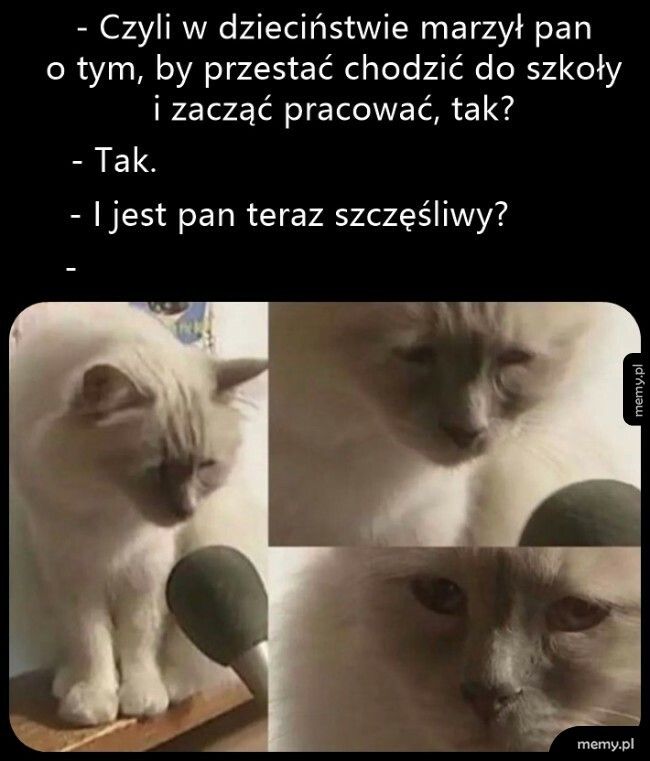 Jak widać, proszę pana