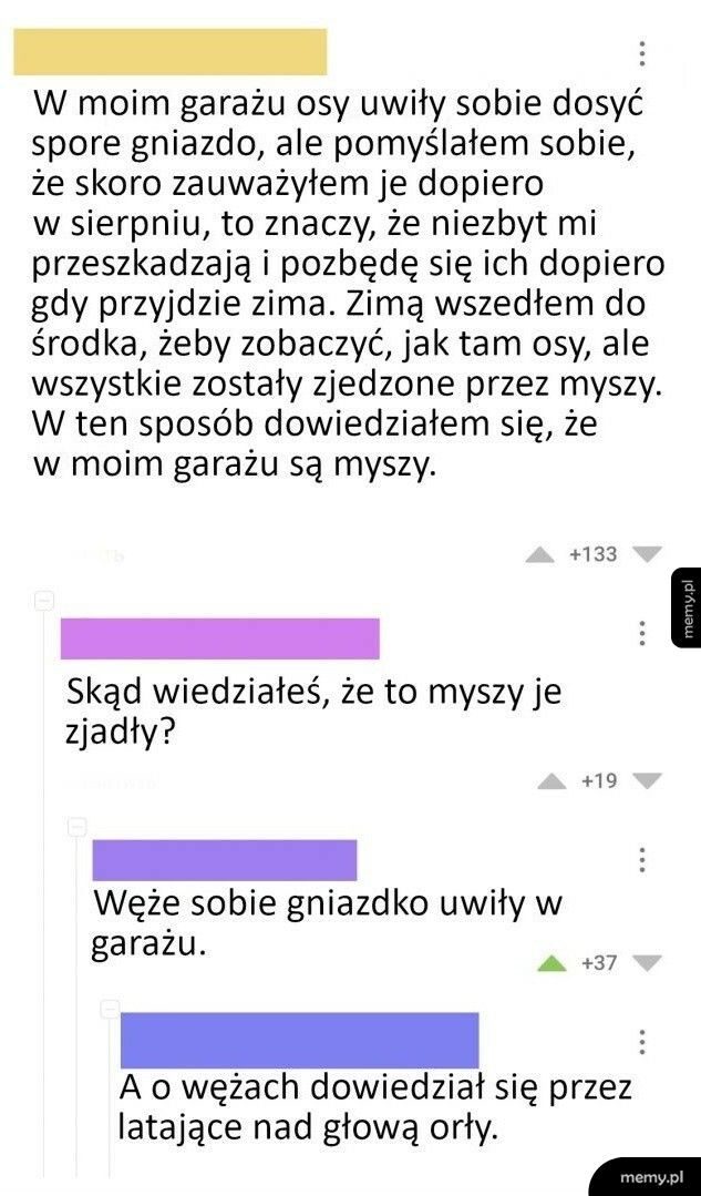 Osy w garażu